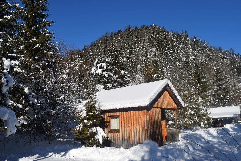 Camping Und Chalet Saggraben Palfau Ngoại thất bức ảnh